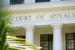 Superior court's final judgment can be appealed.